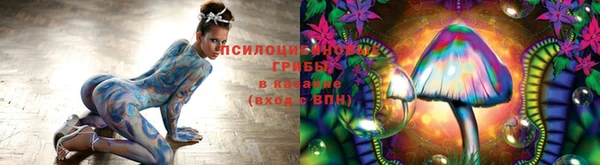 прущий лед Богородск